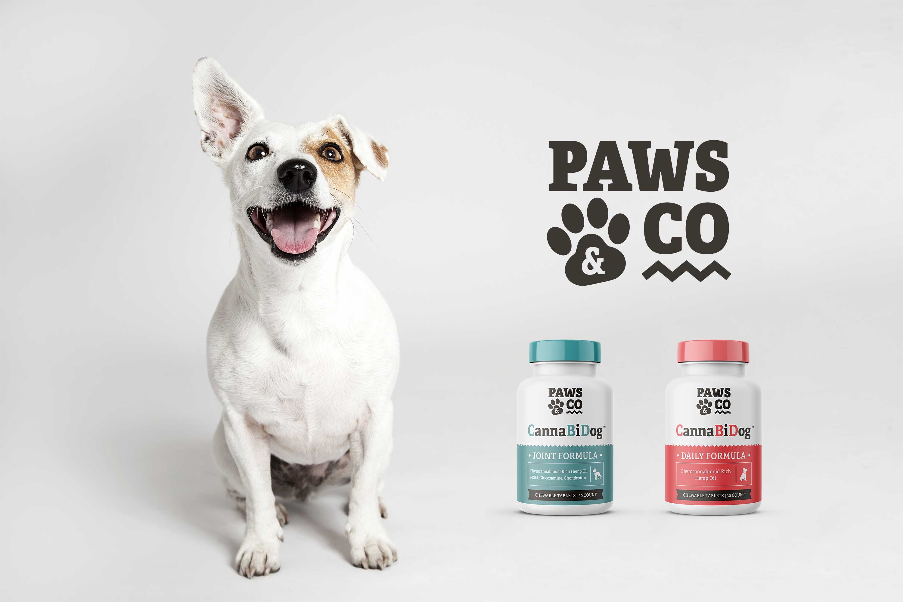 Paws & Co Ad
